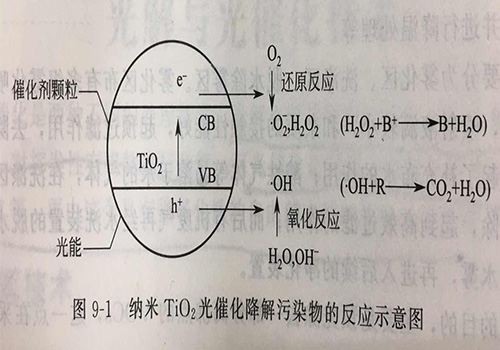 圖片4